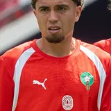 Neil El Aynaoui
