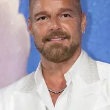 Ricky Martin